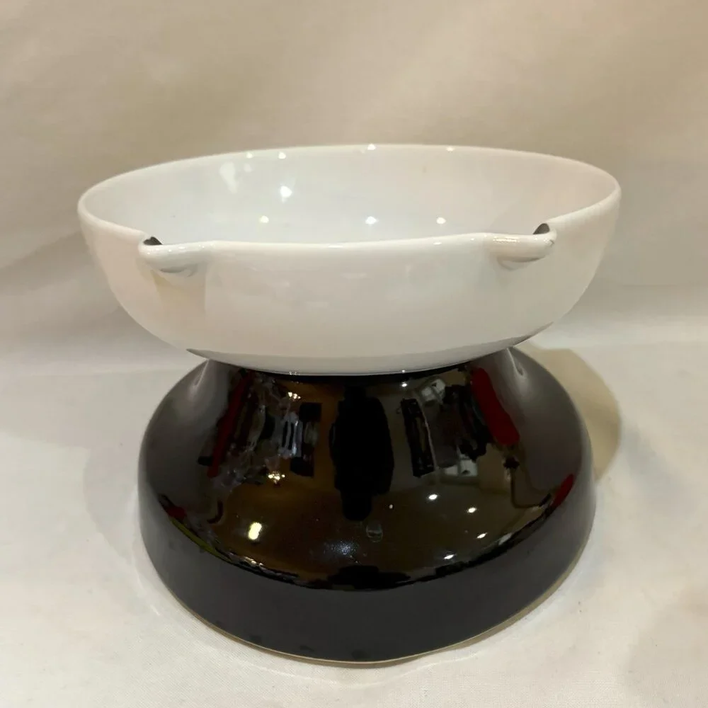 YHY Fine Porcelain Slow Feeder Elevated Tilting Cat Bowl Non-Slip Base